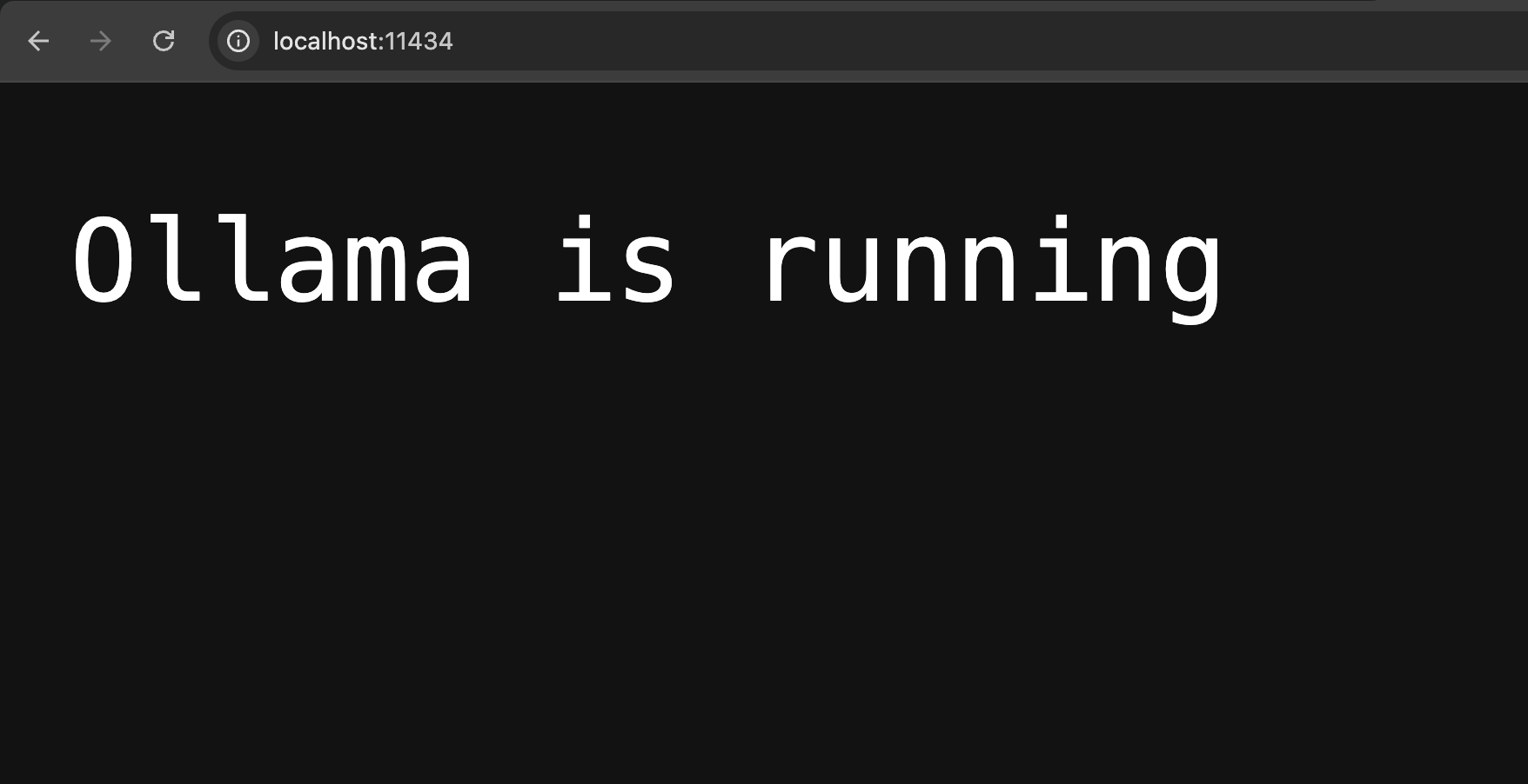 Ollama is running text in browser.